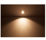 SPOTLIGHT