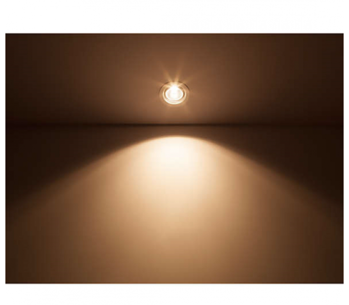 SPOTLIGHT